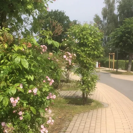 Apartamento Familiaeres, Charmantes In Zingst